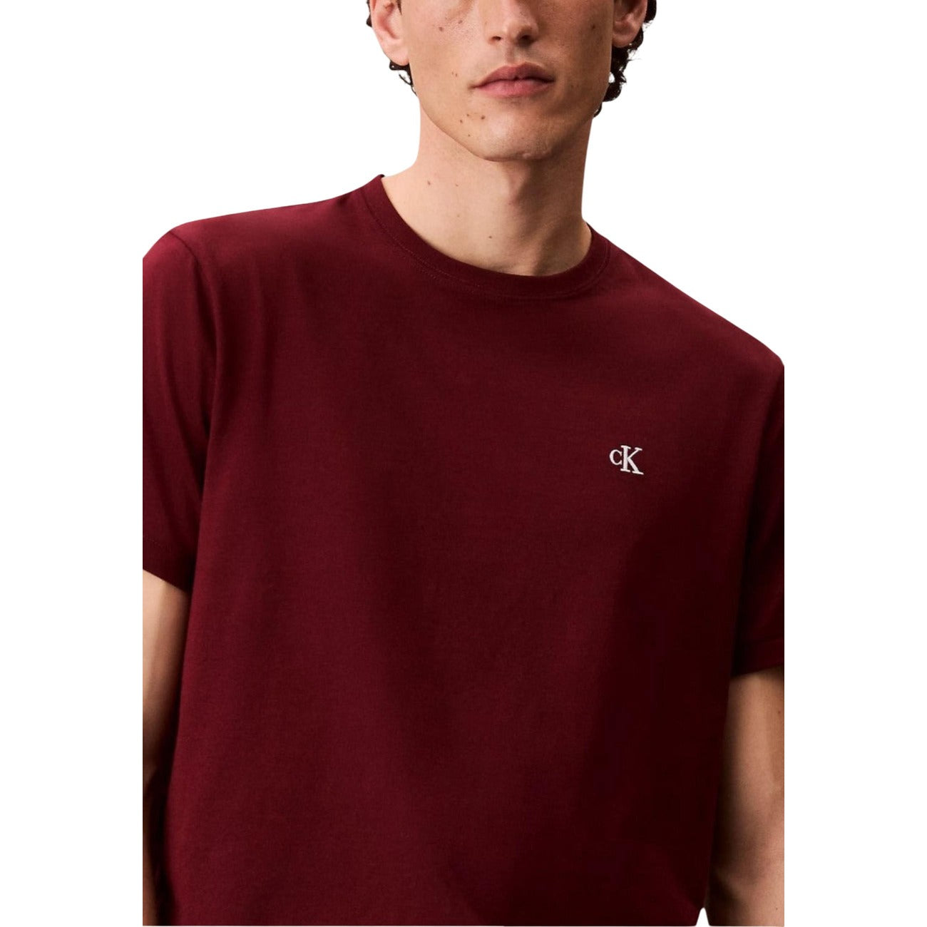 Calvin Klein Jeans T-Shirt Uomo